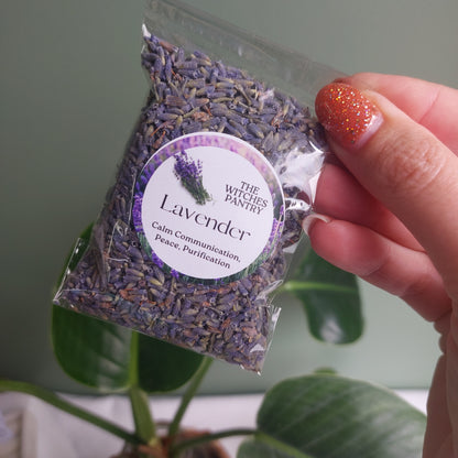 Lavender - Certified Organic