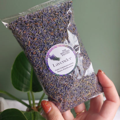 Lavender - Certified Organic