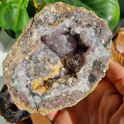 Amethyst & Chalcedony Geode - Brazil - 1.51kg