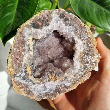 Amethyst & Chalcedony Geode - Brazil - 1.51kg