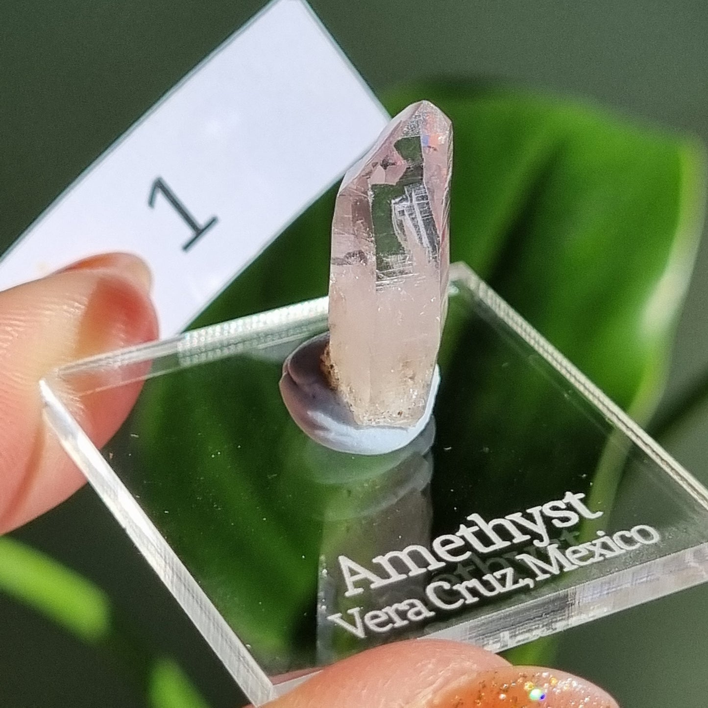 Vera Cruz Amethyst Specimen - Mexico