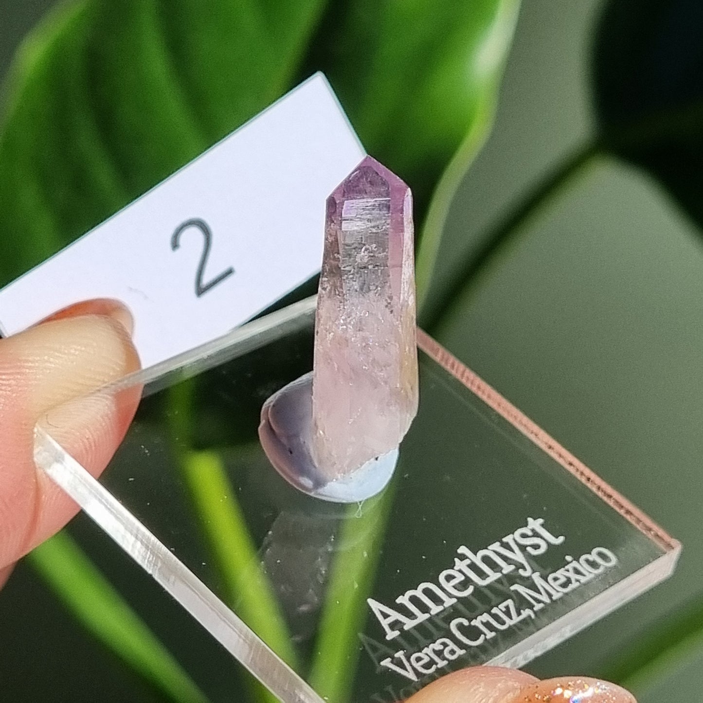 Vera Cruz Amethyst Specimen - Mexico