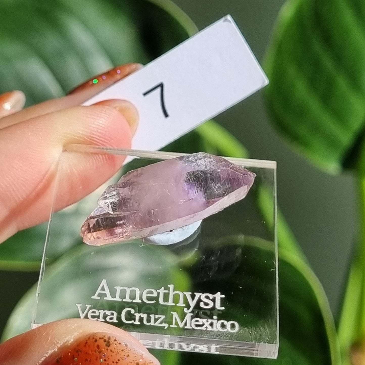 Vera Cruz Amethyst Specimen - Mexico