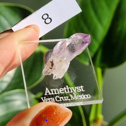 Vera Cruz Amethyst Specimen - Mexico