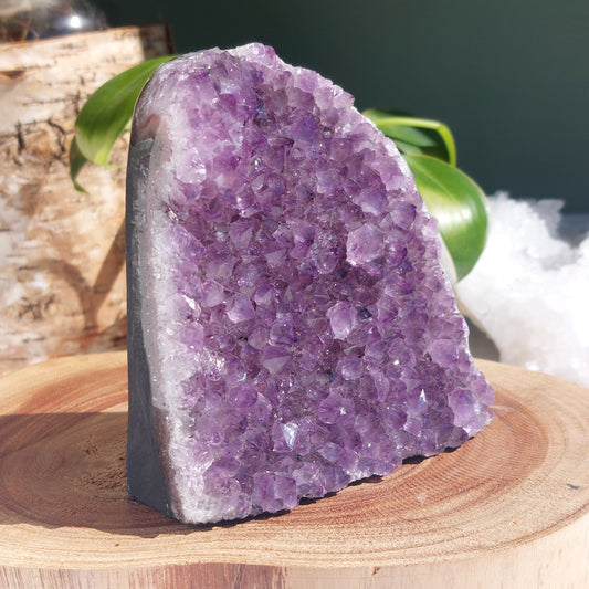 Amethyst Standing Cluster - Brazil - 605g