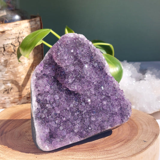 Amethyst Standing Cluster - Brazil - 608g