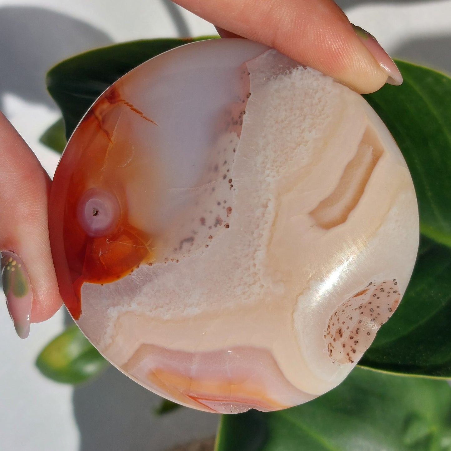 Carnelian Disc Palmstone - Madagascar - 194g