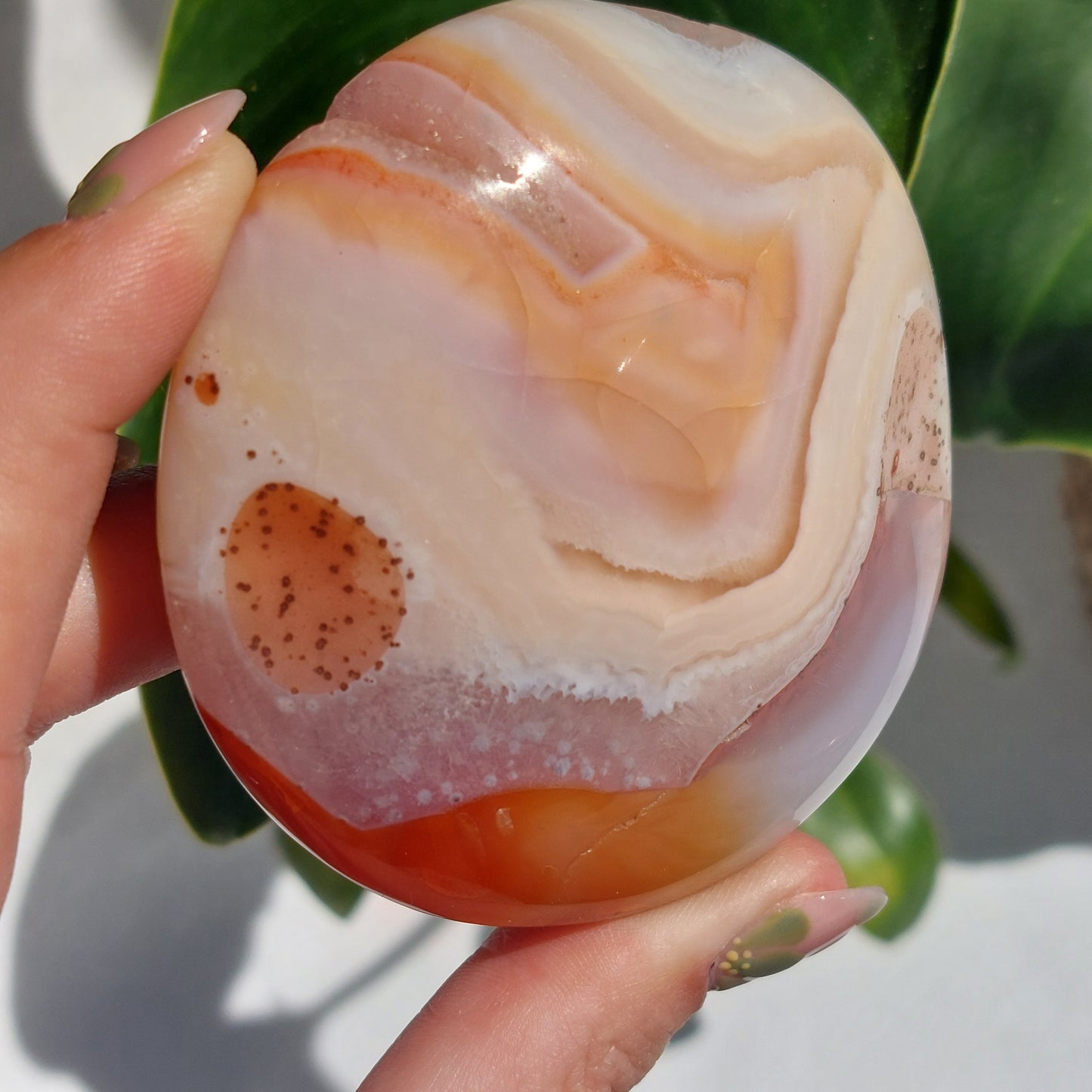 Carnelian Disc Palmstone - Madagascar - 194g