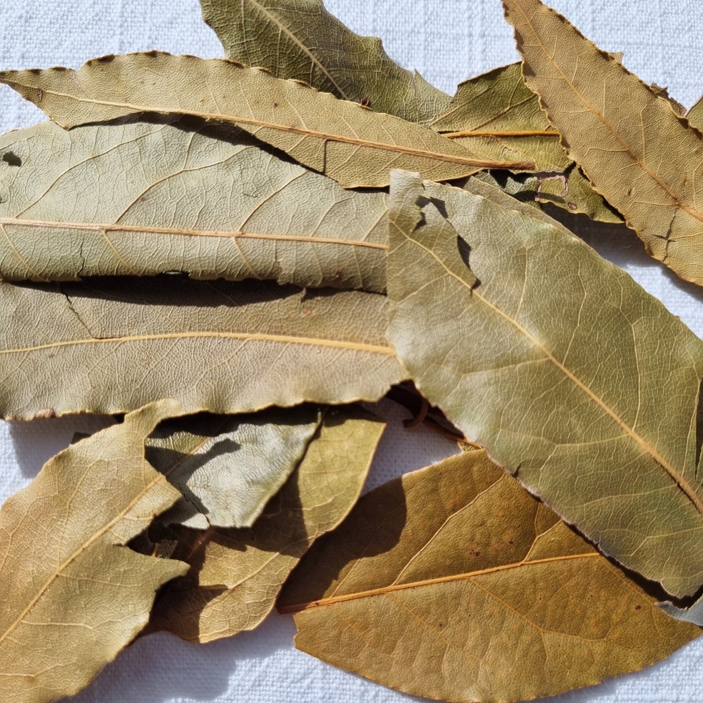 Bay Leaves - Certified Organic