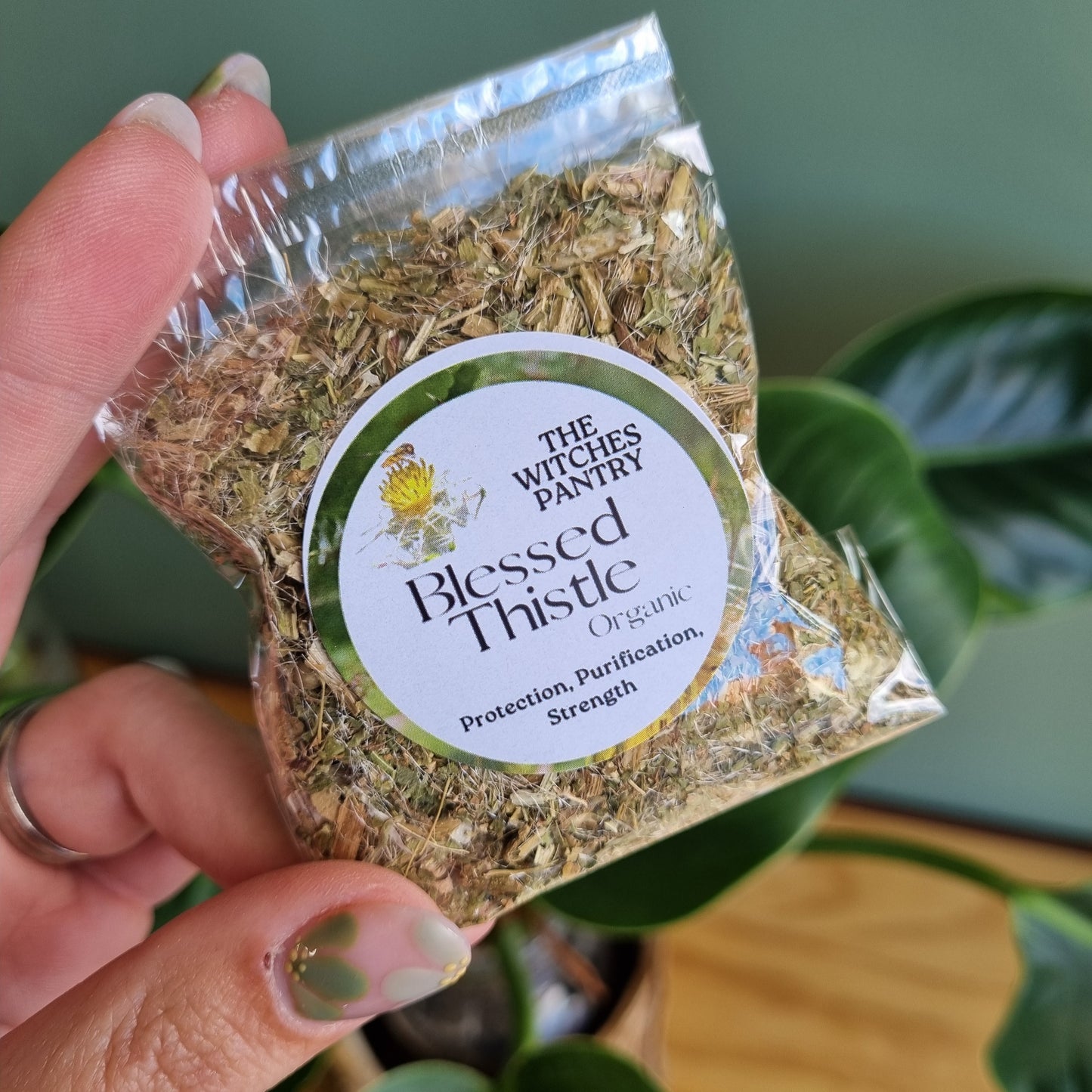 Blessed Thistle - Certified Organic