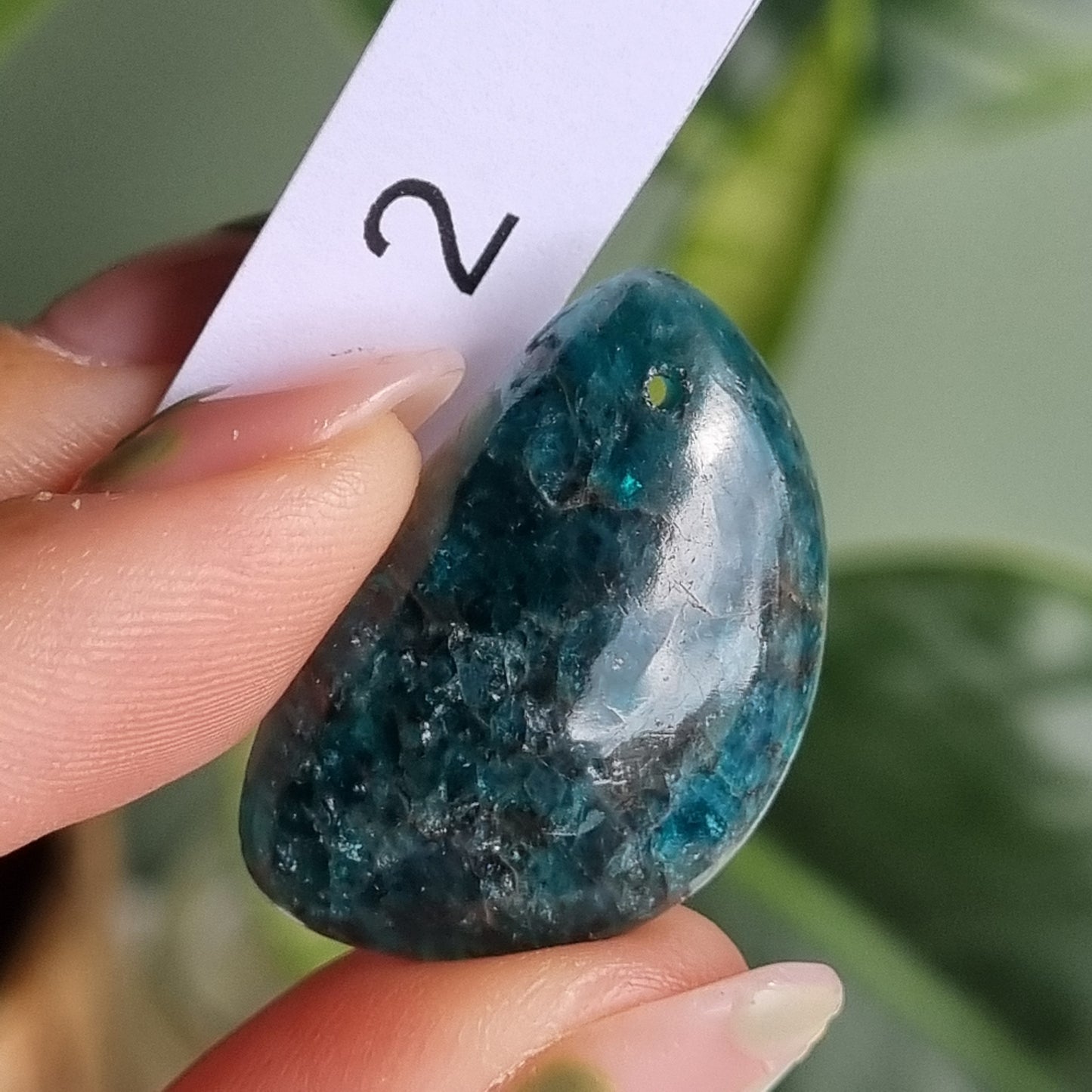 Blue Apatite Drilled Cabochon