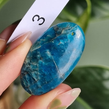 Blue Apatite Drilled Cabochon