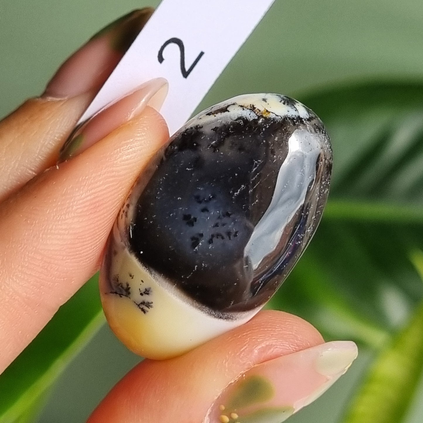 Dendritic Agate Cabochon