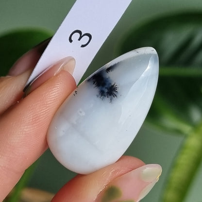 Dendritic Agate Cabochon