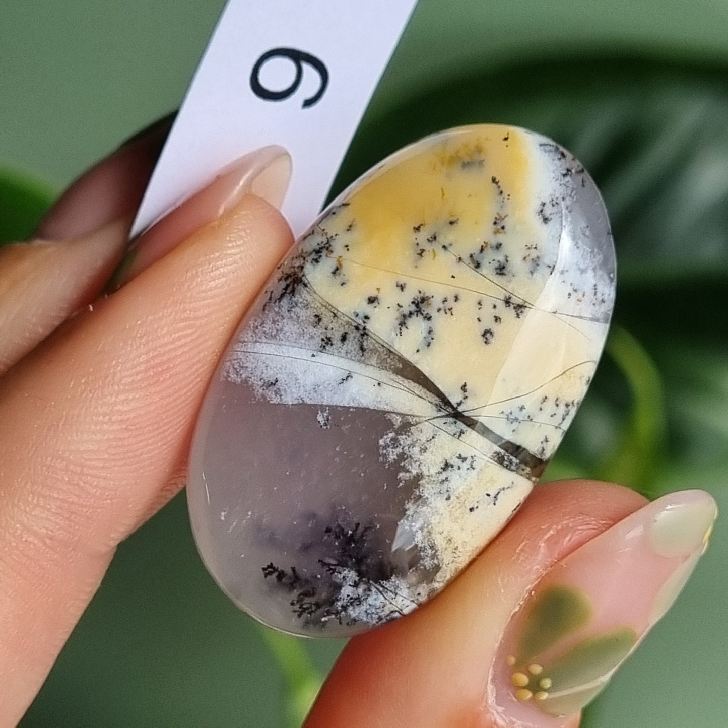 Dendritic Agate Cabochon