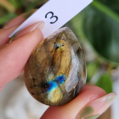 Labradorite Drilled Cabochon