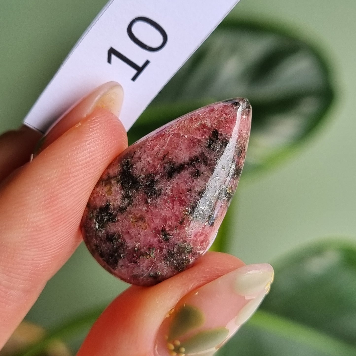 Rhodonite Cabochon