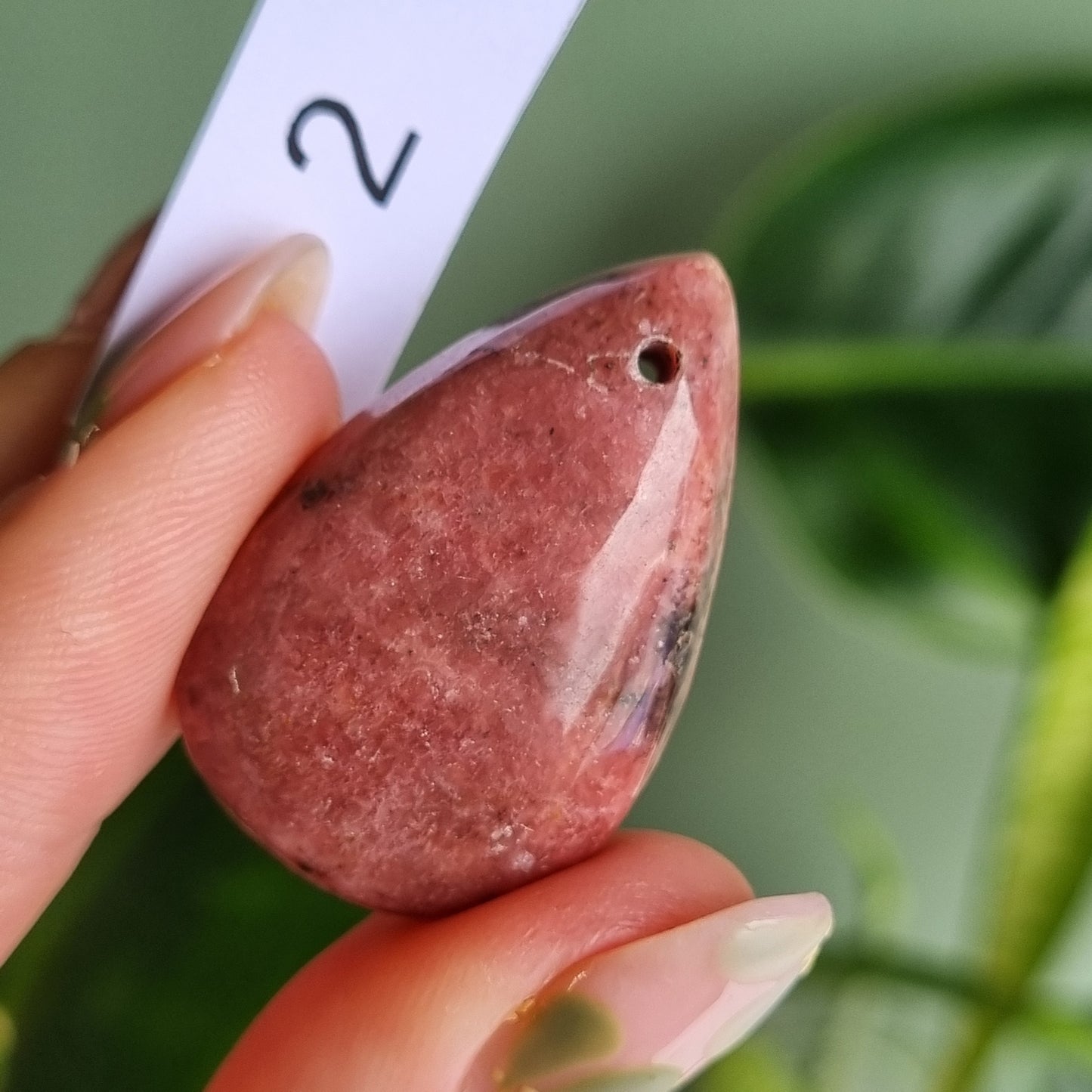 Rhodonite Drilled Cabochon