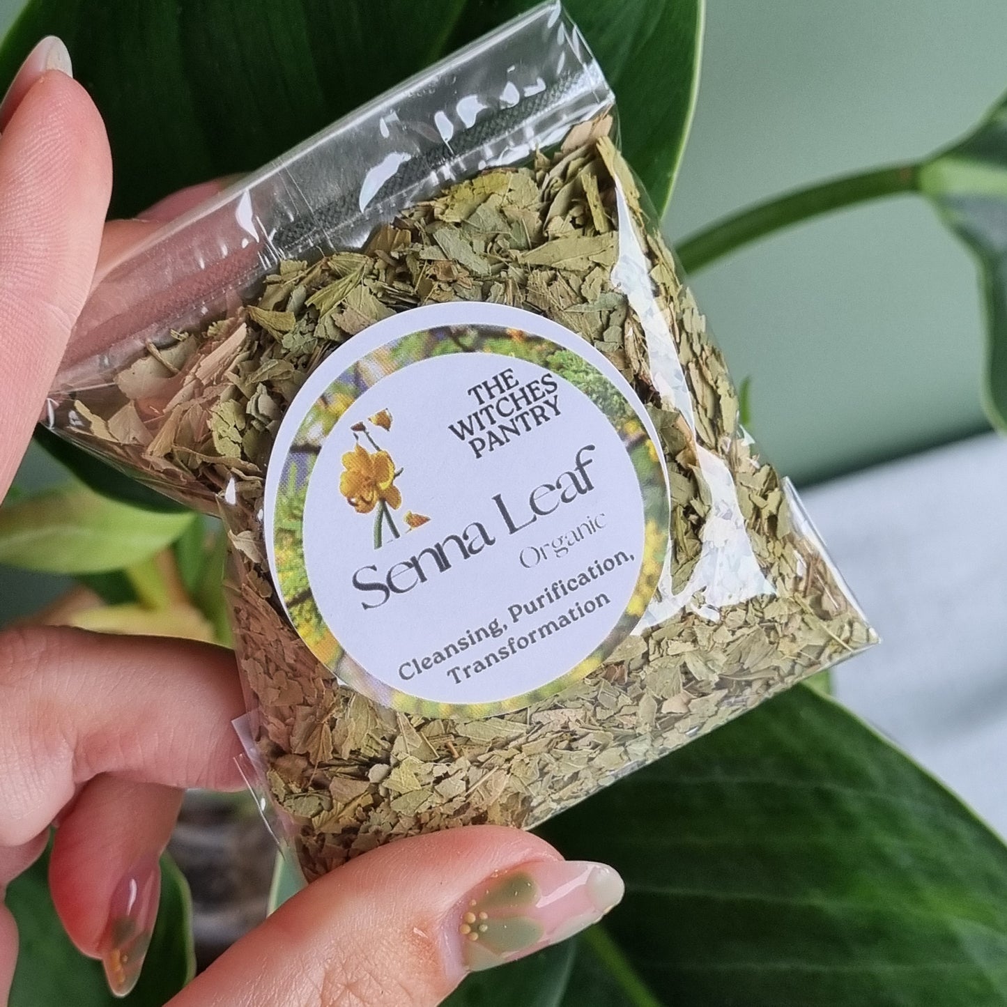 Senna Leaf - Certified Organic