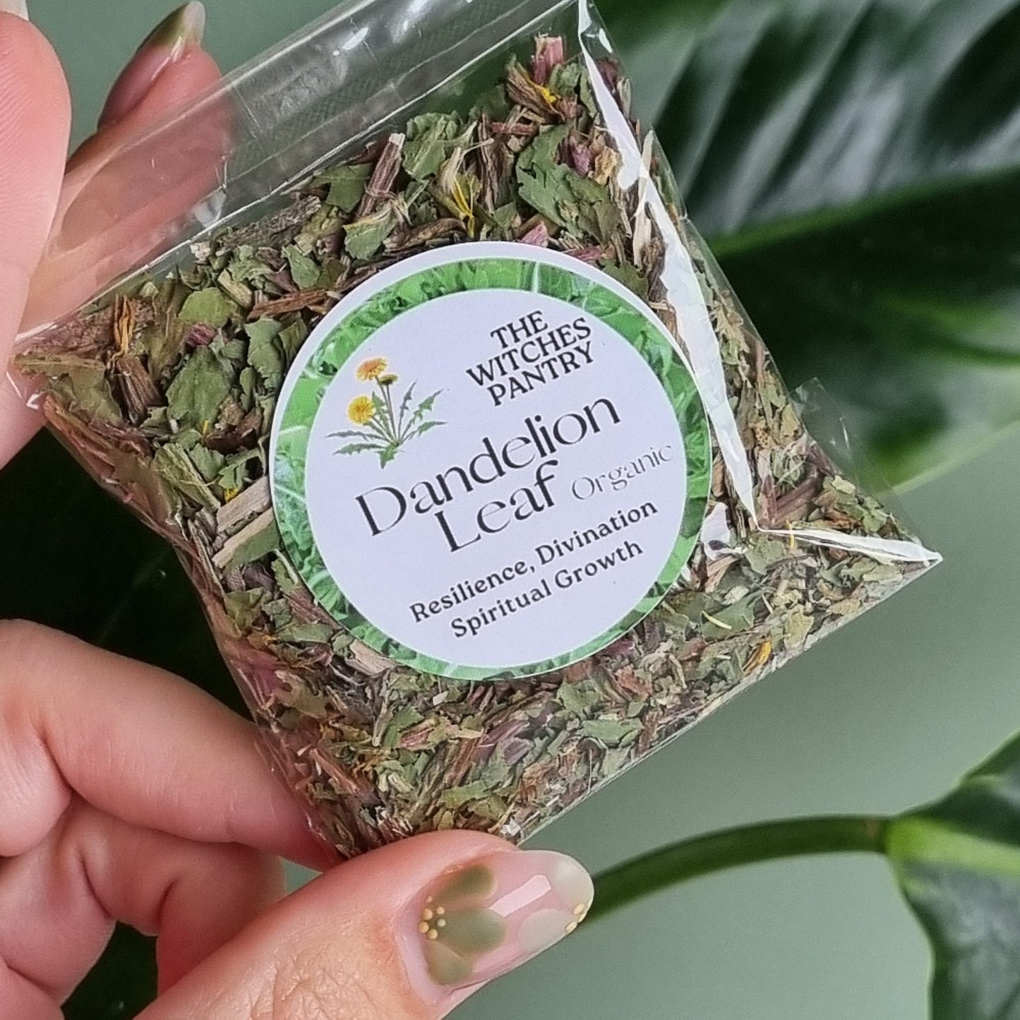 Dandelion Leaf - Certified Organic