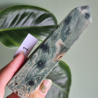 Green Sea Jasper - Madagascar