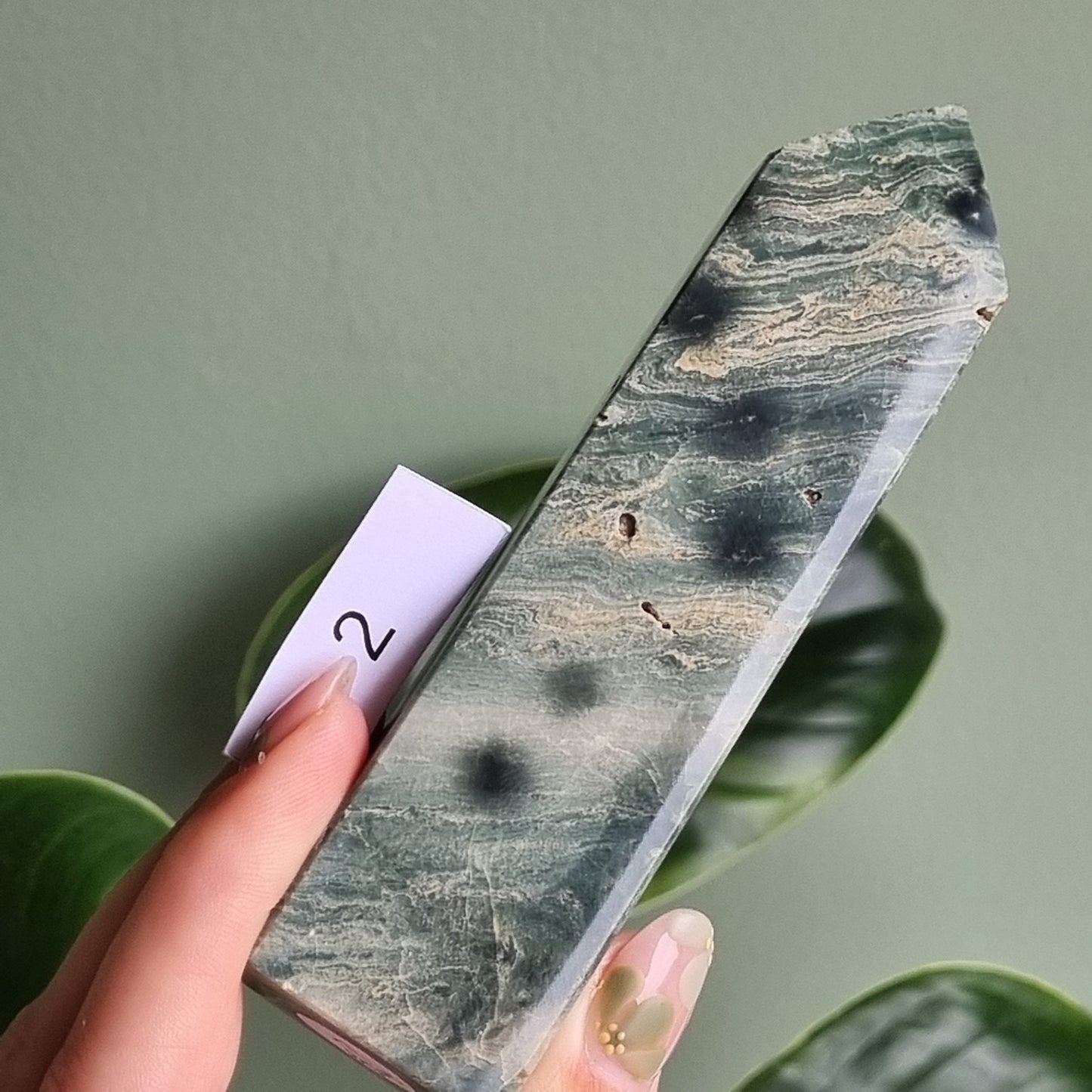 Green Sea Jasper - Madagascar