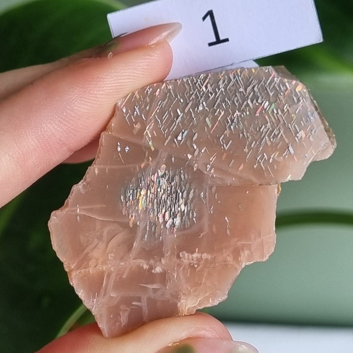 Latice Sunstone Slice - Tanzania