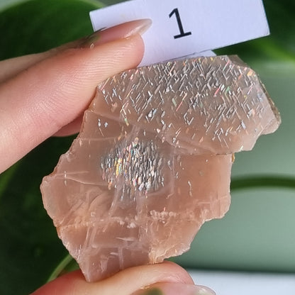 Latice Sunstone Slice - Tanzania