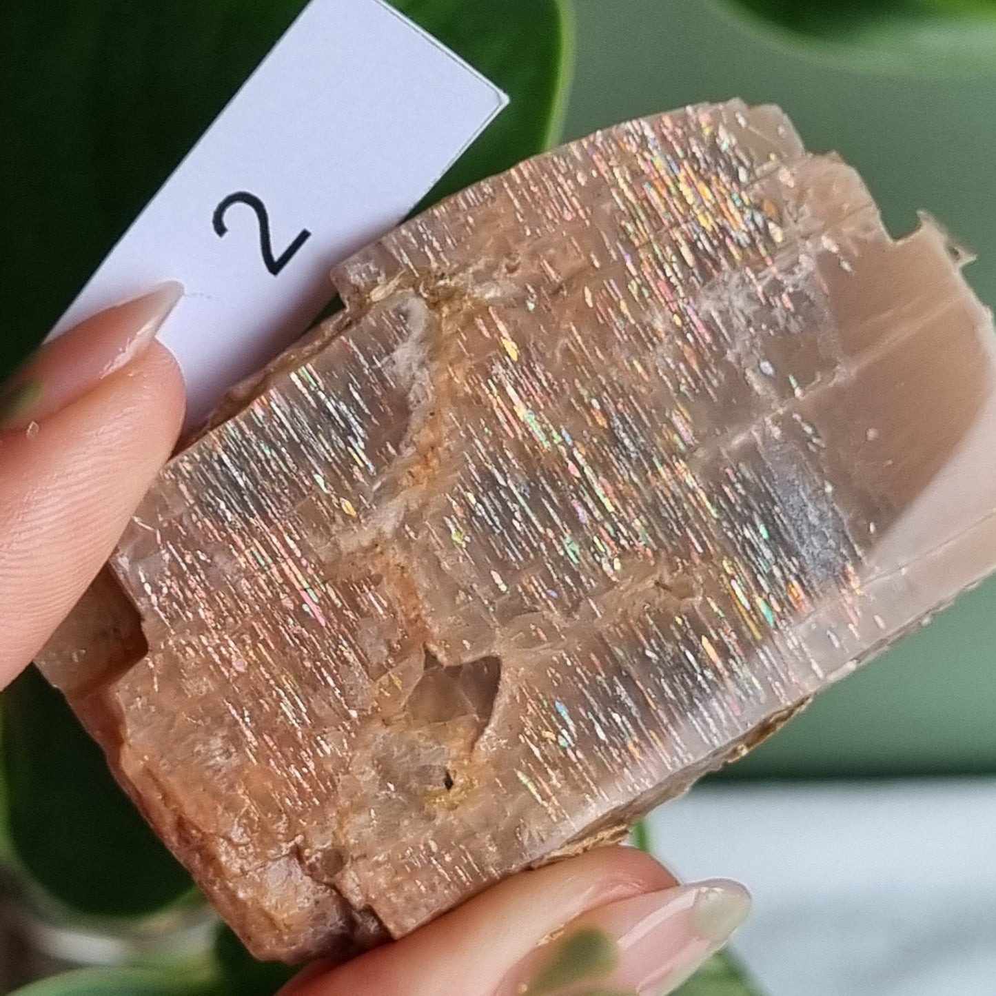 Latice Sunstone Slice - Tanzania