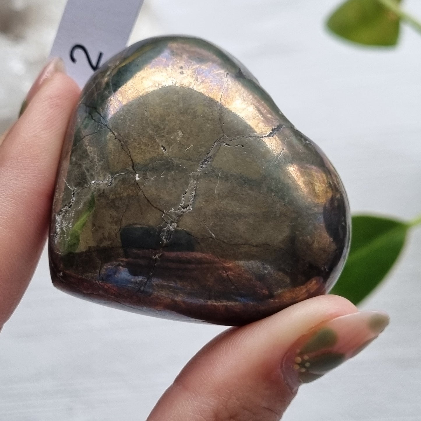 Pyrite & Shale Hearts