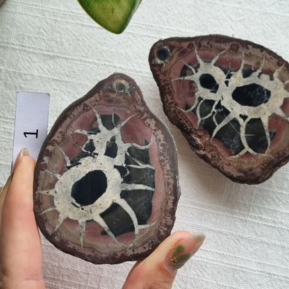 Septarian Split Pair - Madagascar