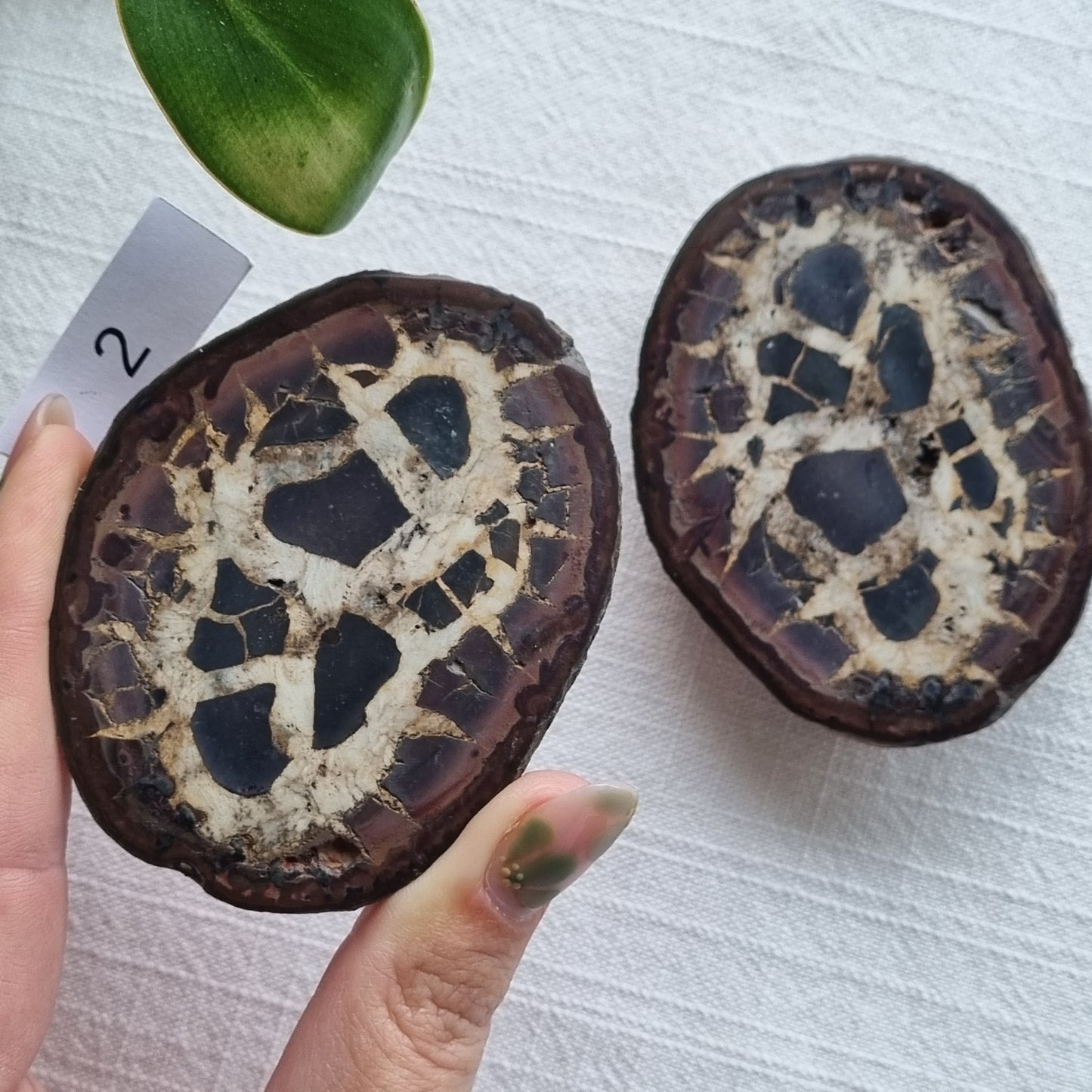 Septarian Split Pair - Madagascar