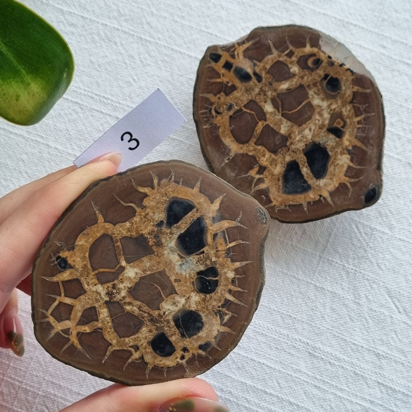 Septarian Split Pair - Madagascar