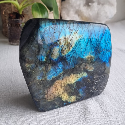 Labradorite Freeform Block - Madagascar - 1.15kg