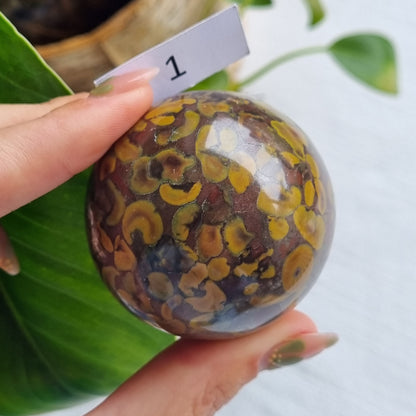 Fruit Jasper Sphere (Sabalgarh Marble)