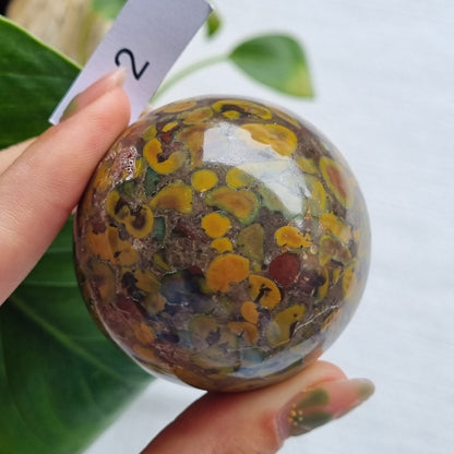 Fruit Jasper Sphere (Sabalgarh Marble)