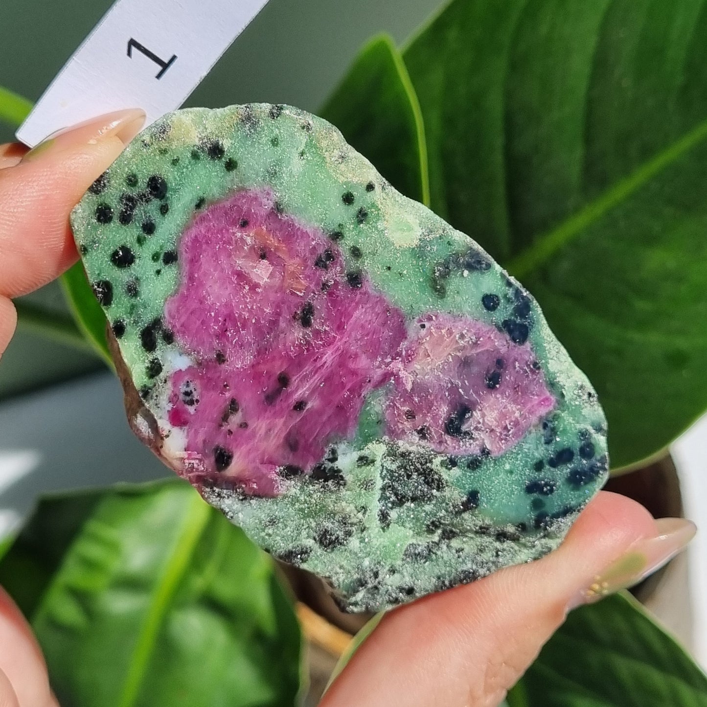 Ruby Zoisite Half Polished (Fluorescent) - Brazil - A Grade