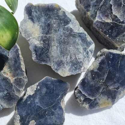 Iolite Half Polished - Brazil