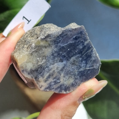 Iolite Half Polished - Brazil