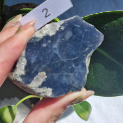 Iolite Half Polished - Brazil