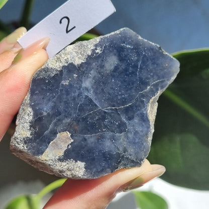 Iolite Half Polished - Brazil