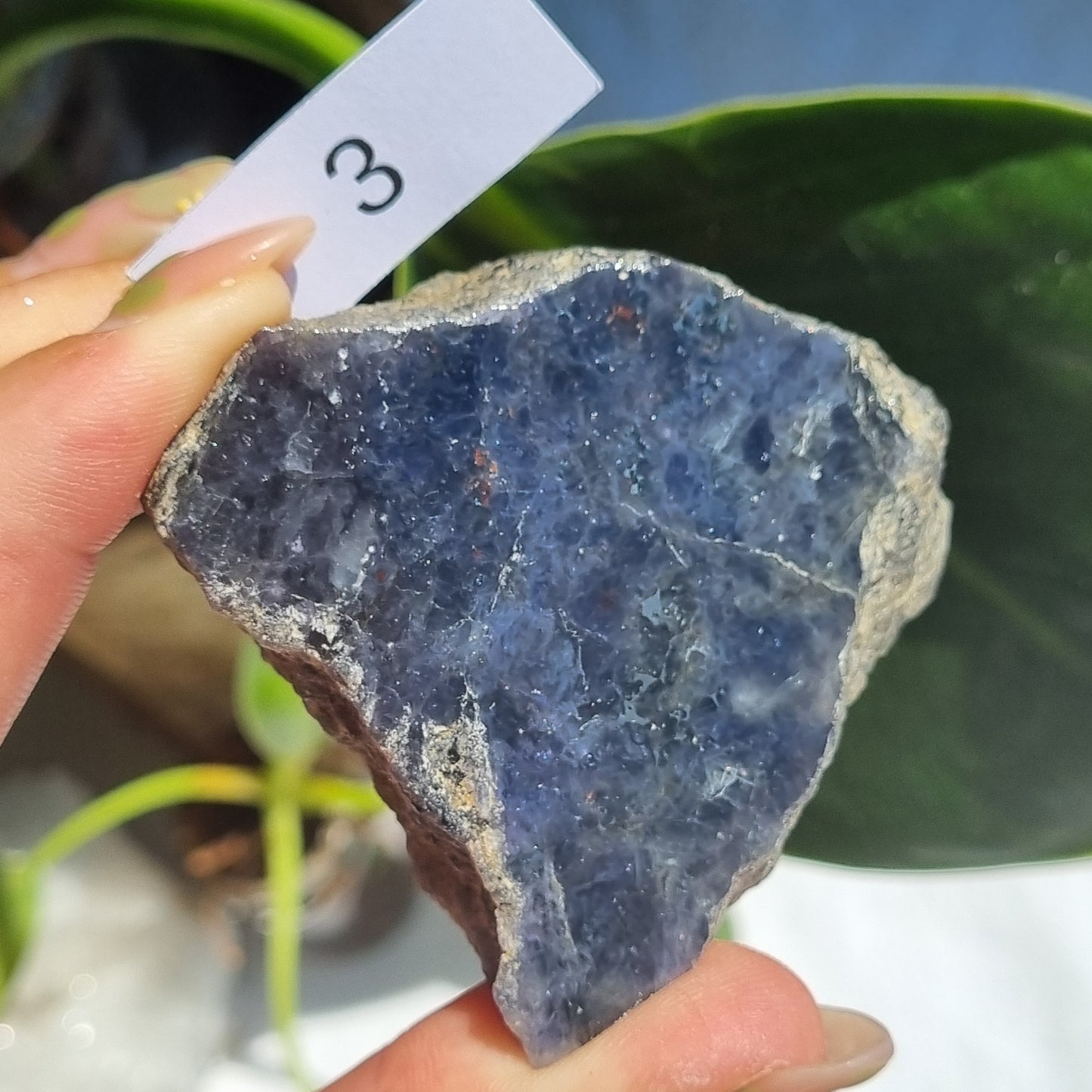 Iolite Half Polished - Brazil