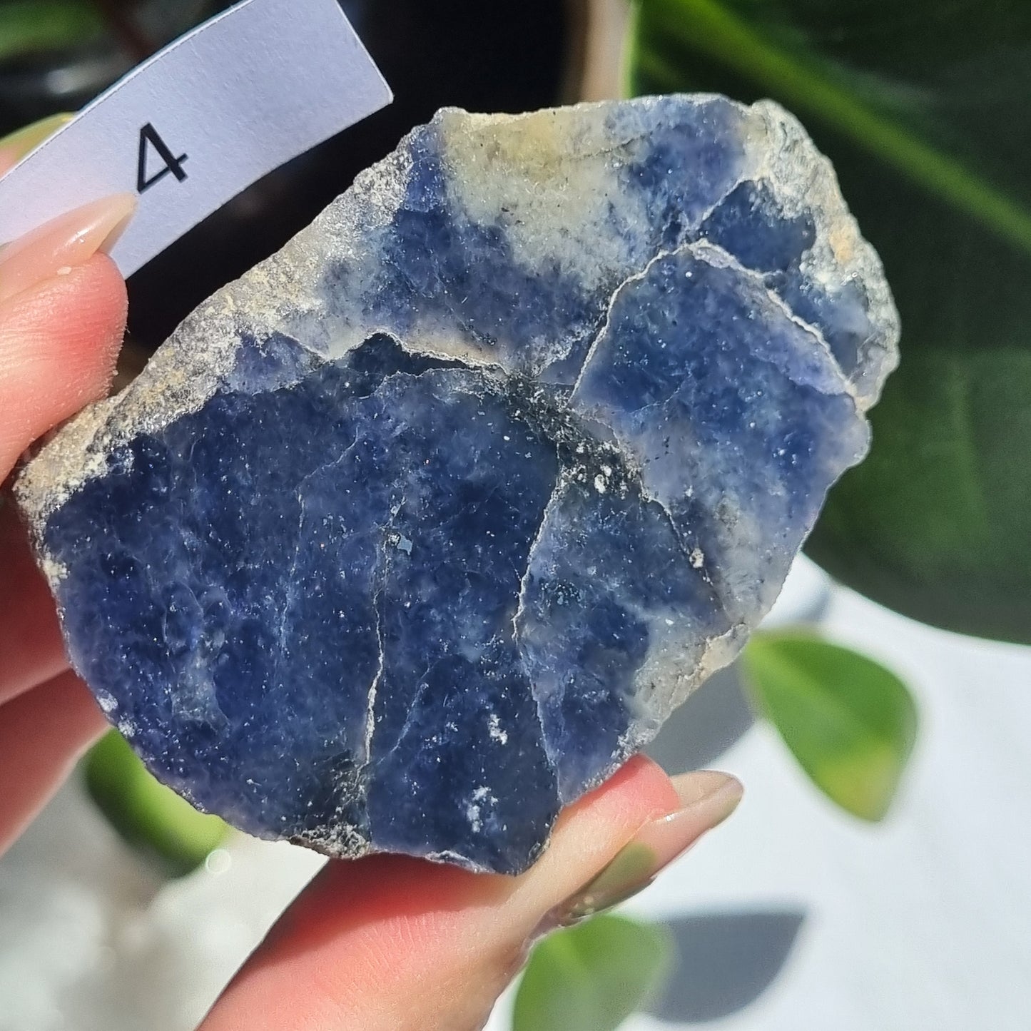 Iolite Half Polished - Brazil