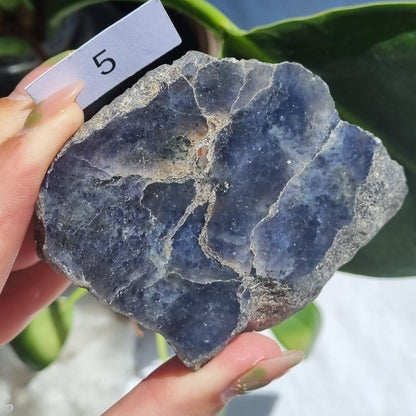 Iolite Half Polished - Brazil