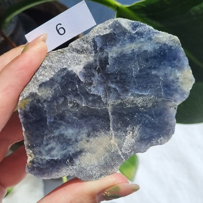 Iolite Half Polished - Brazil