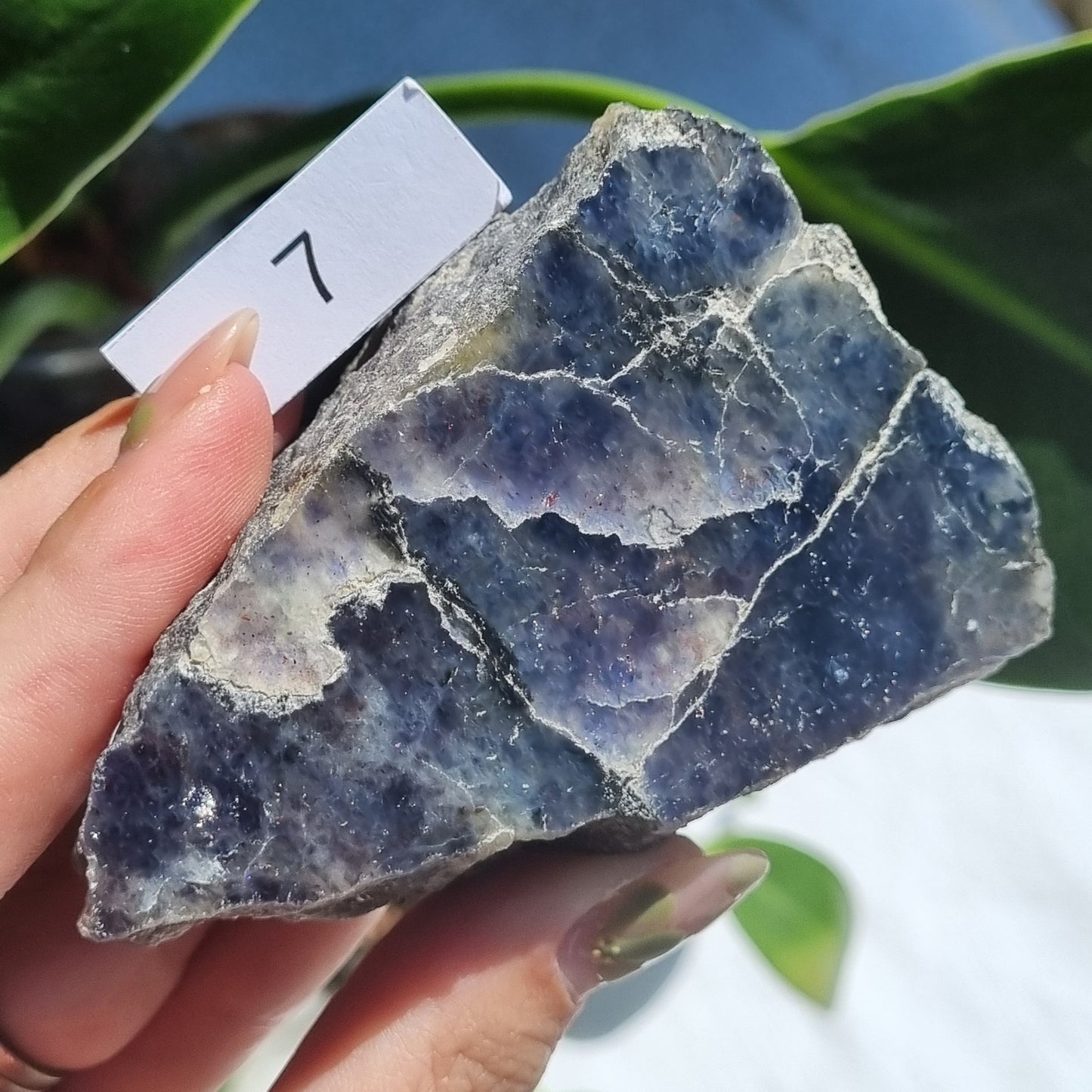 Iolite Half Polished - Brazil