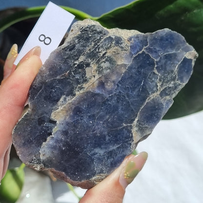 Iolite Half Polished - Brazil