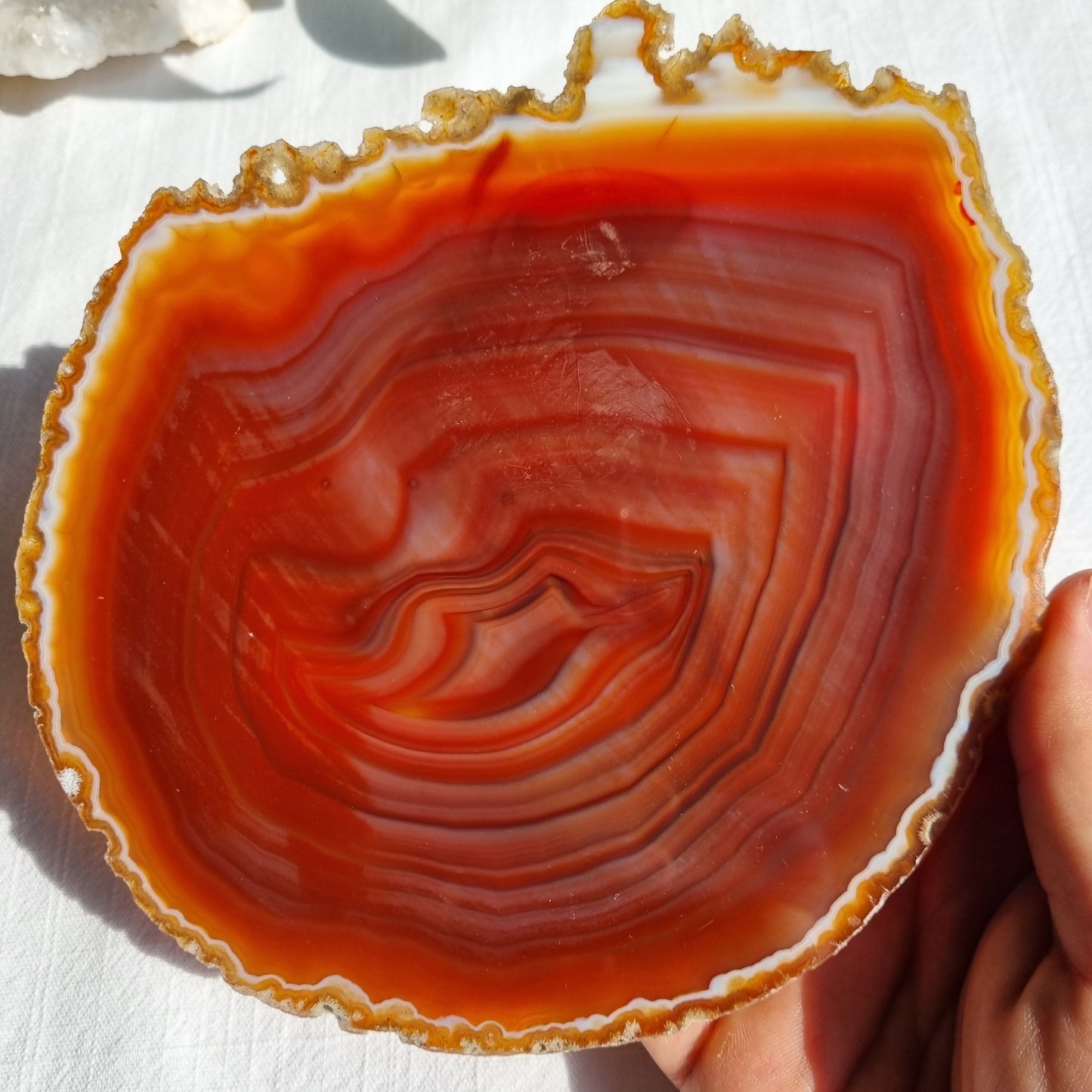 Agate Slice (Coloured) - Brazil - 242g