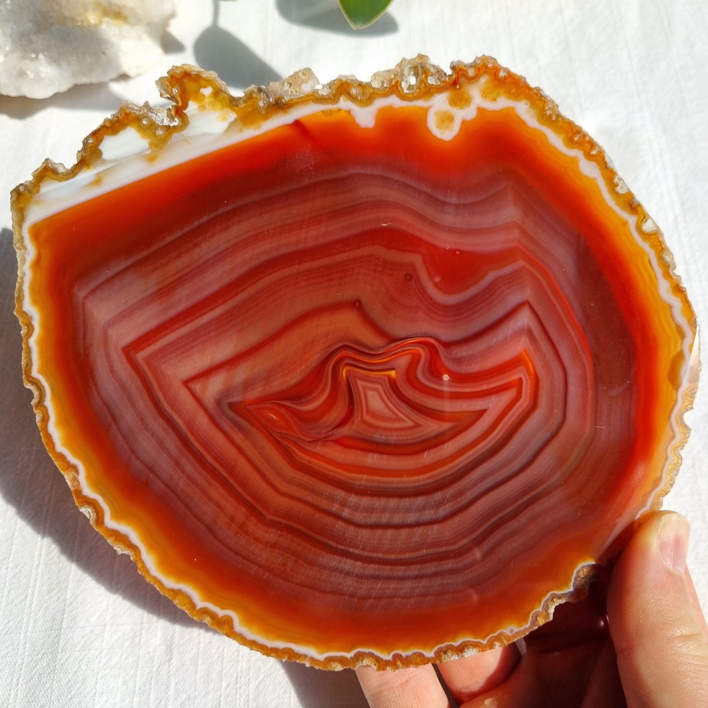 Agate Slice (Coloured) - Brazil - 242g