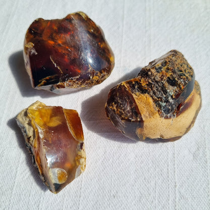 Amber Half Polished - Indonesia